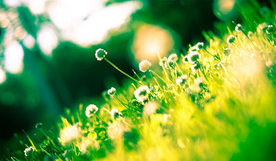 Kettler Garden Makeover Competition Winner