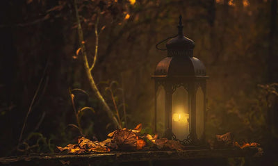 Our Favourite Halloween Garden Decoration Ideas