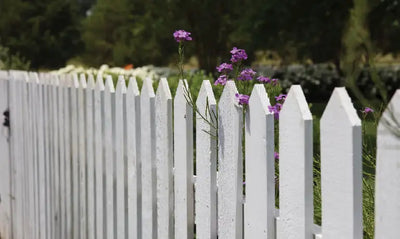 Nosey Neighbours? Here’s How to Make Your Garden Private