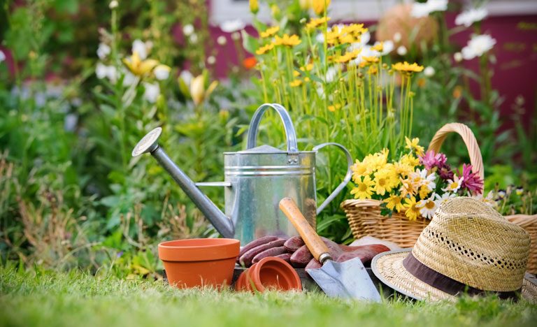 Watering can, plant pots, spade, hat, gloves and flowers on garden lawn