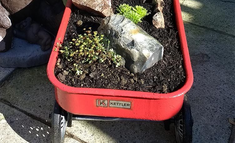 Close up of a 50 year old Kettler Truck turned into a mini garden.