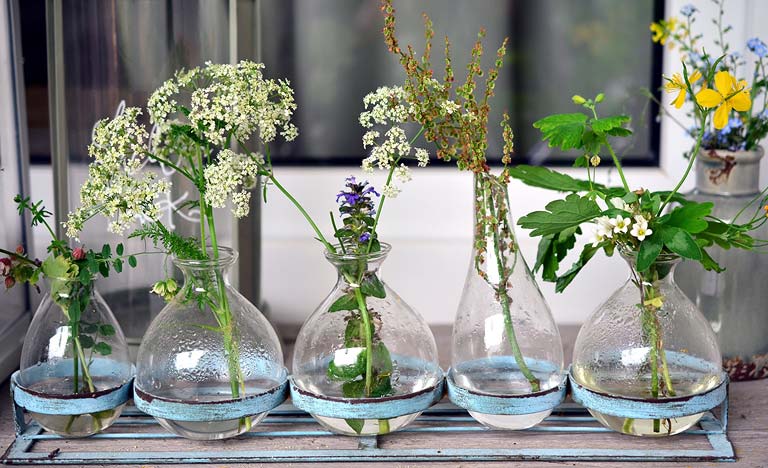 Different wildflowers arranged in five glass vases.