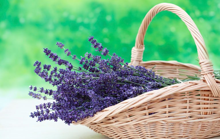 Basket of lavender.
