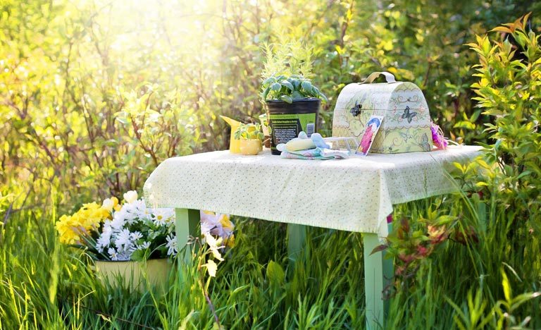 Herbs, flower seeds and gardening accessories on table in garden.