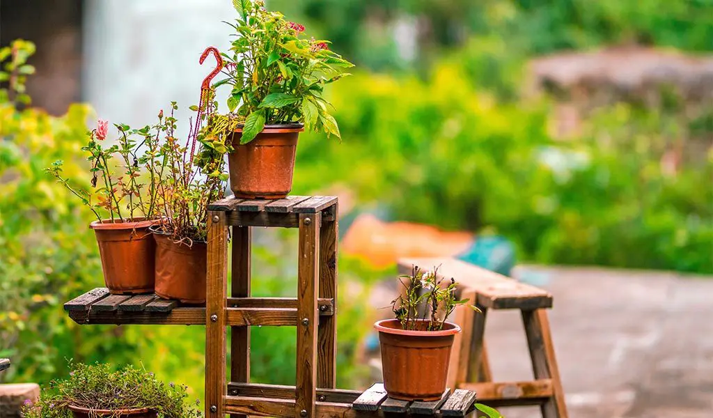 Potted plants set on a plant stand in garden.