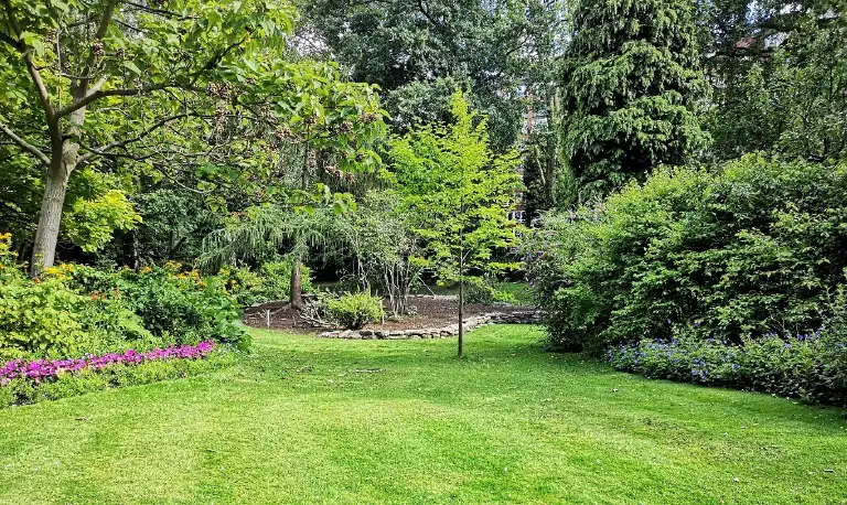 mature garden with backdrop of trees