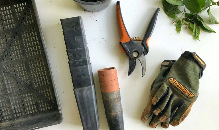 new year gardening tools on table