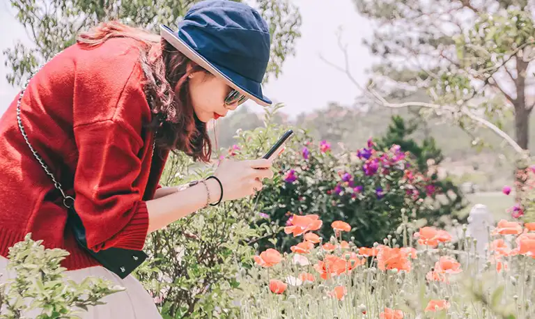 lady taing picture of flowers with phone