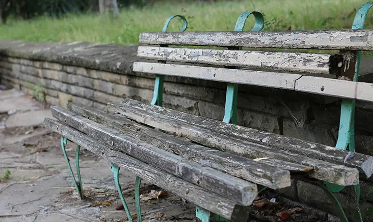 Old rotton garden bench