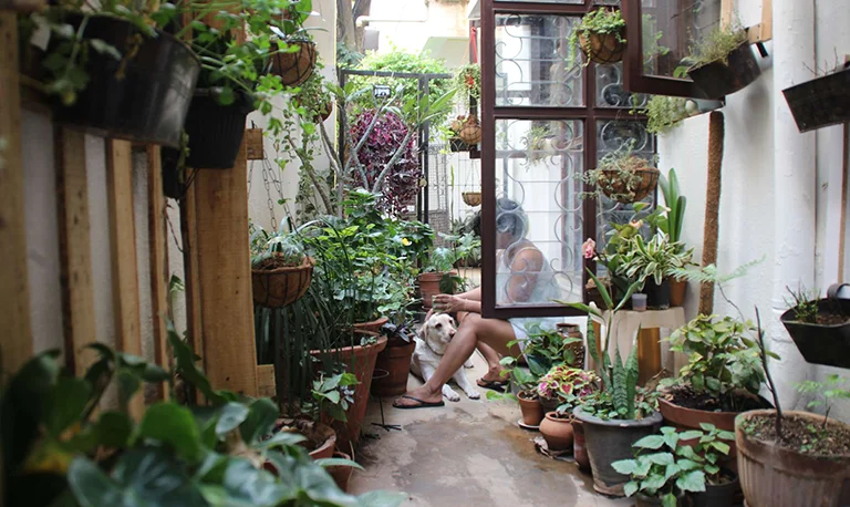 lady and dog in a very small garden with lots of pot plants